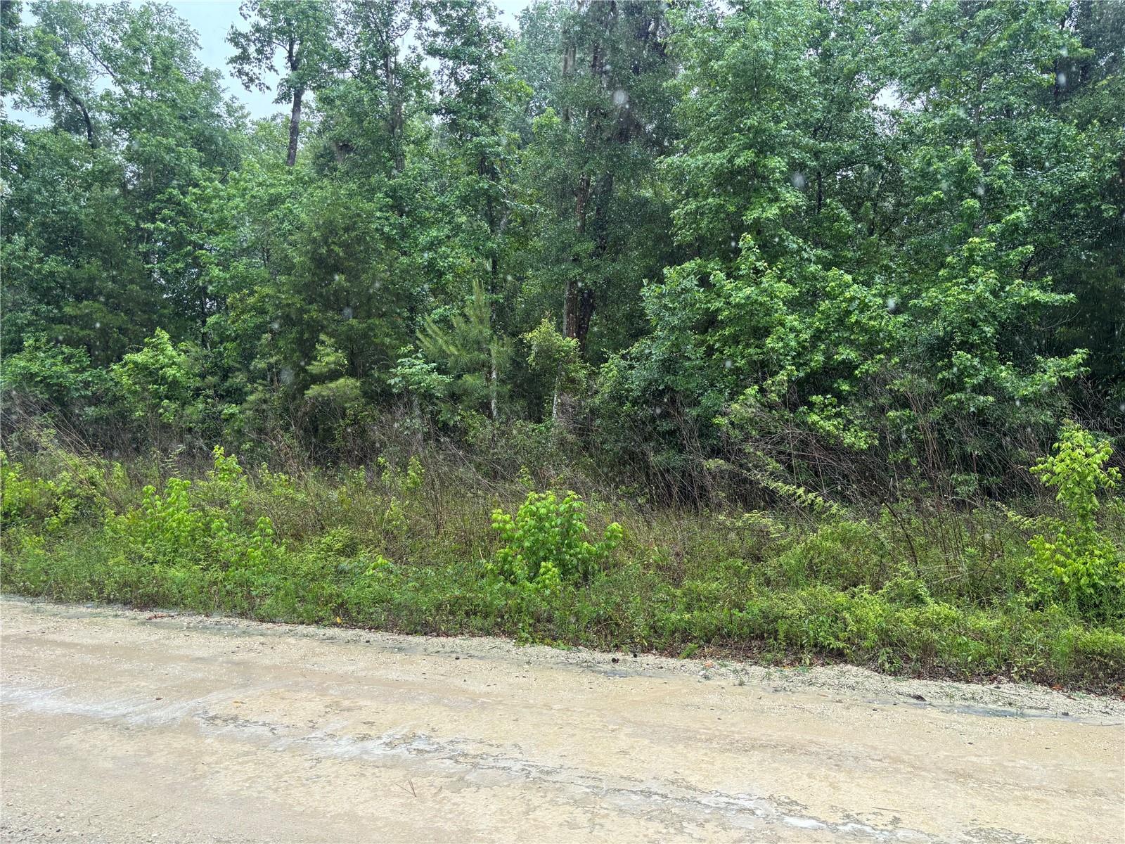 0000 SW 7TH LN, OCALA, FL — photo 4