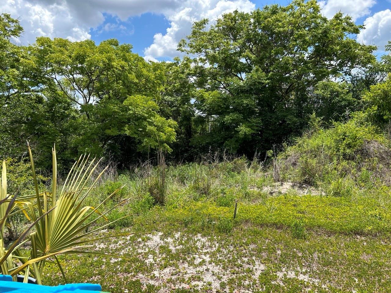 2055 E PRAIRIE CIR #50, DELTONA, FL — photo 10