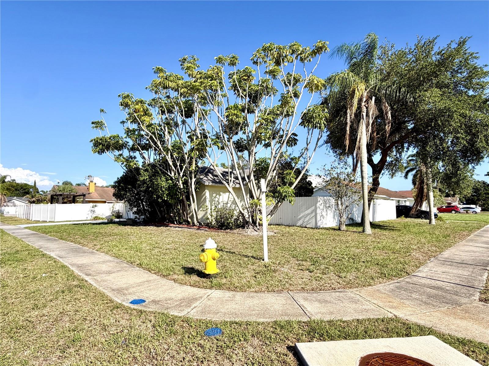 8212 101ST CT, SEMINOLE, FL — photo 3