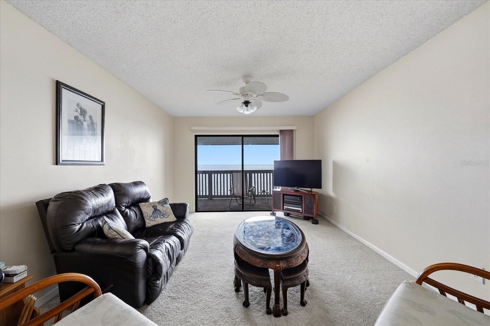 818 BAHIA DEL SOL DR #28, RUSKIN, FL — photo 8