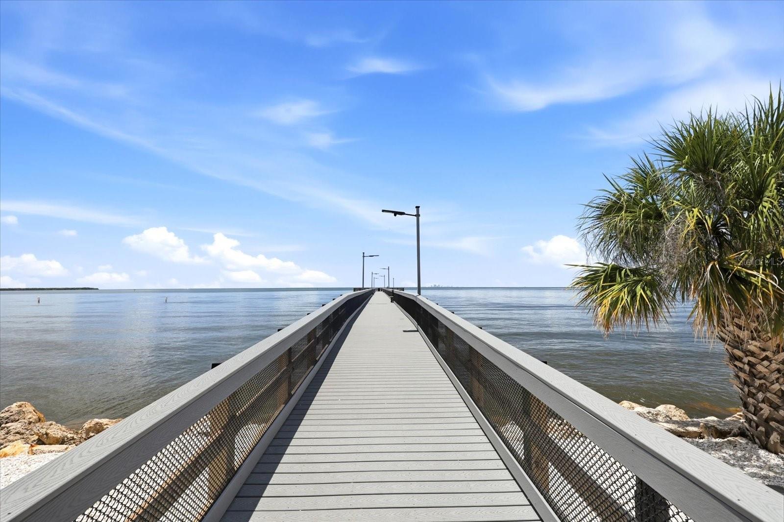 818 BAHIA DEL SOL DR #28, RUSKIN, FL — photo 68