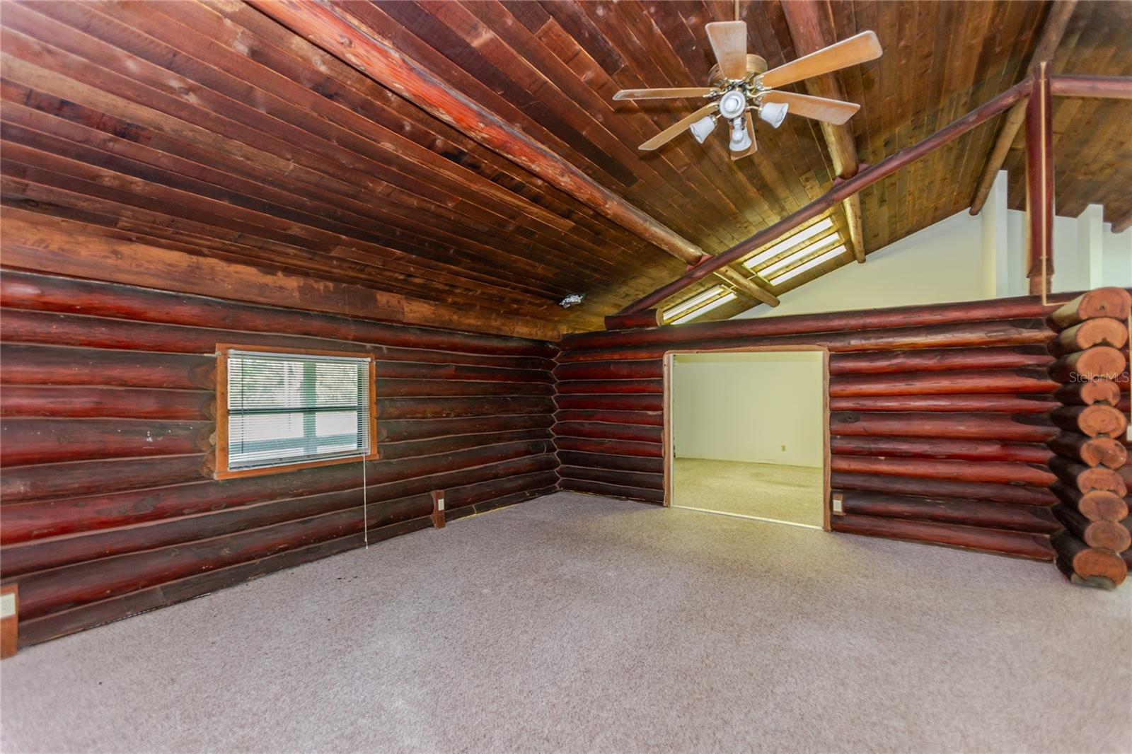 13203 BLISSFIELD, ODESSA, FL — photo 13
