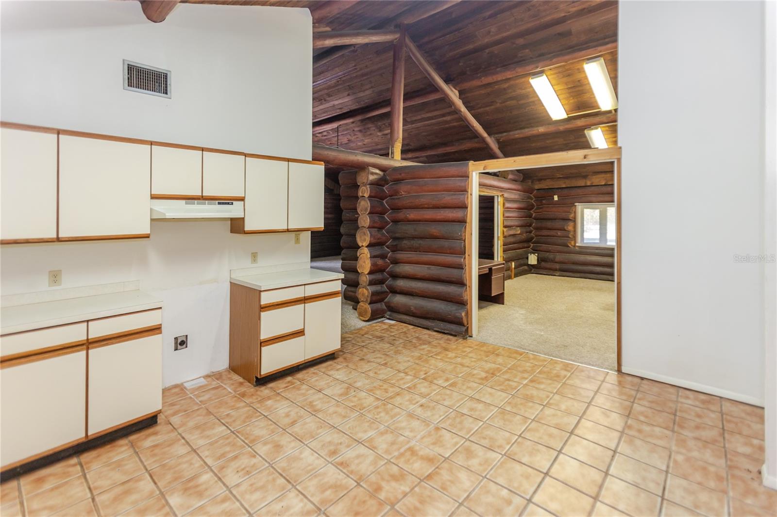 13203 BLISSFIELD, ODESSA, FL — photo 19