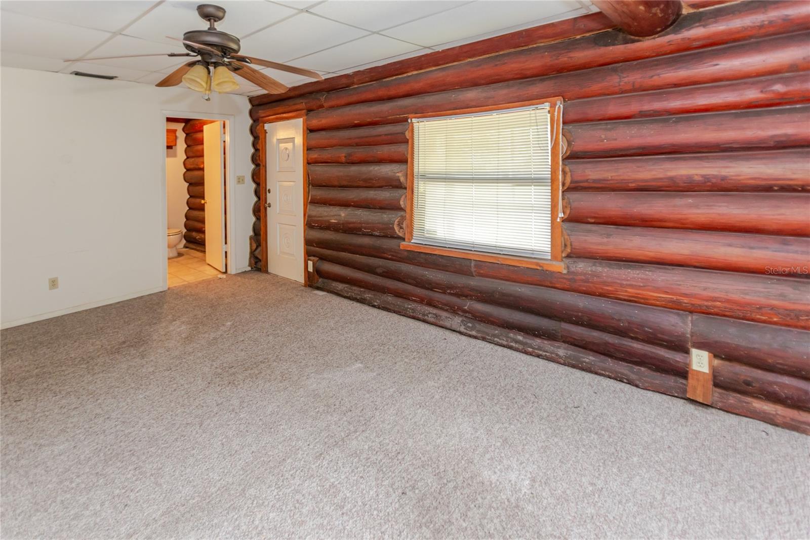 13203 BLISSFIELD, ODESSA, FL — photo 21