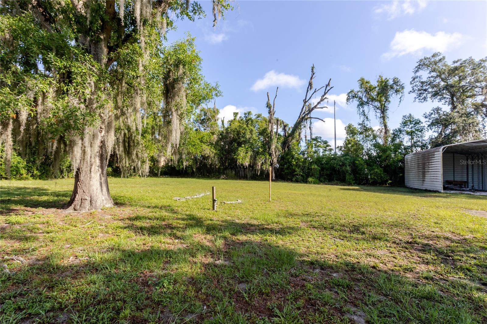 13203 BLISSFIELD, ODESSA, FL — photo 34