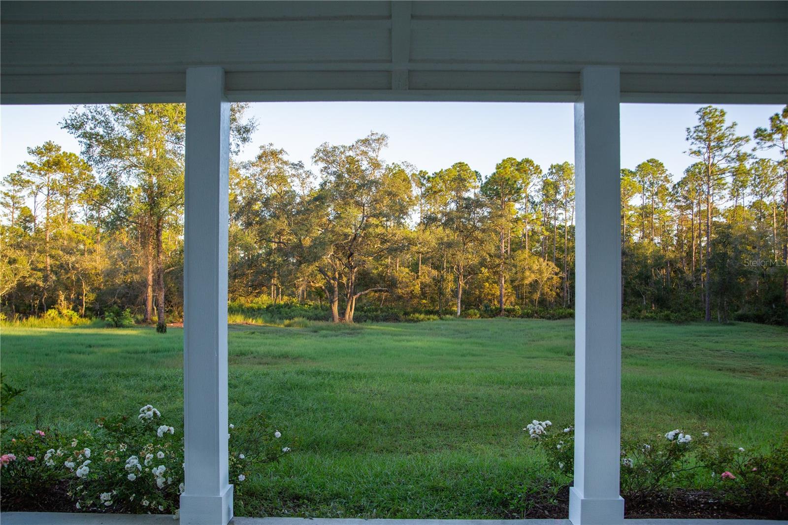 14042 NE 110TH ST, FORT MC COY, FL — photo 30