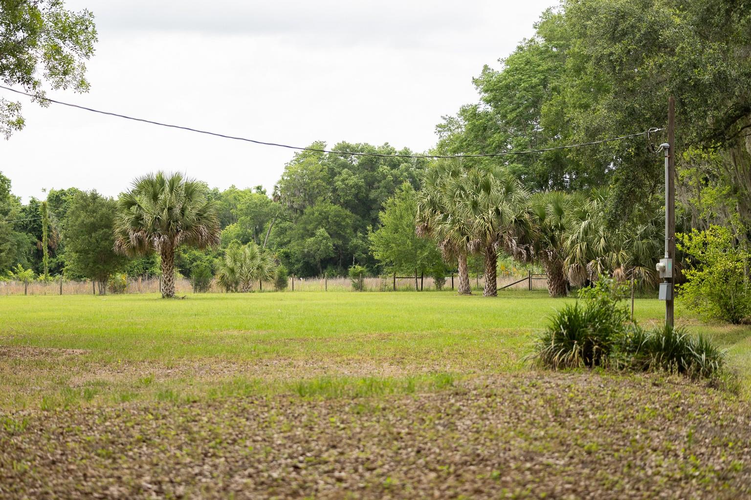 18833 NE 24TH AVE, CITRA, FL — photo 5