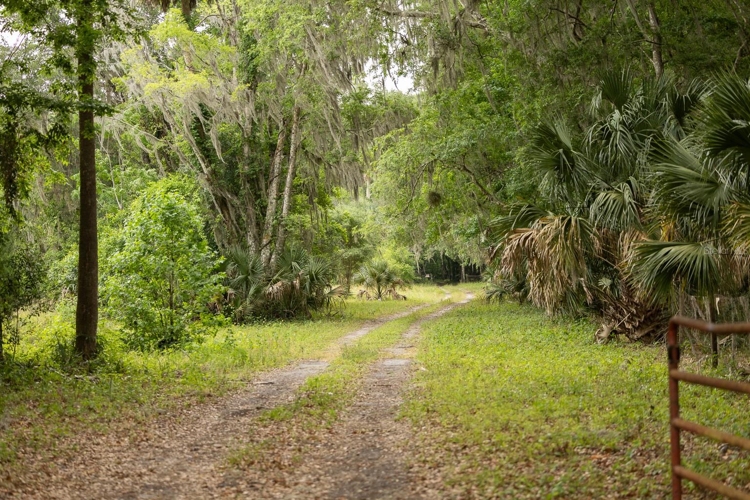 18833 NE 24TH AVE, CITRA, FL — photo 8