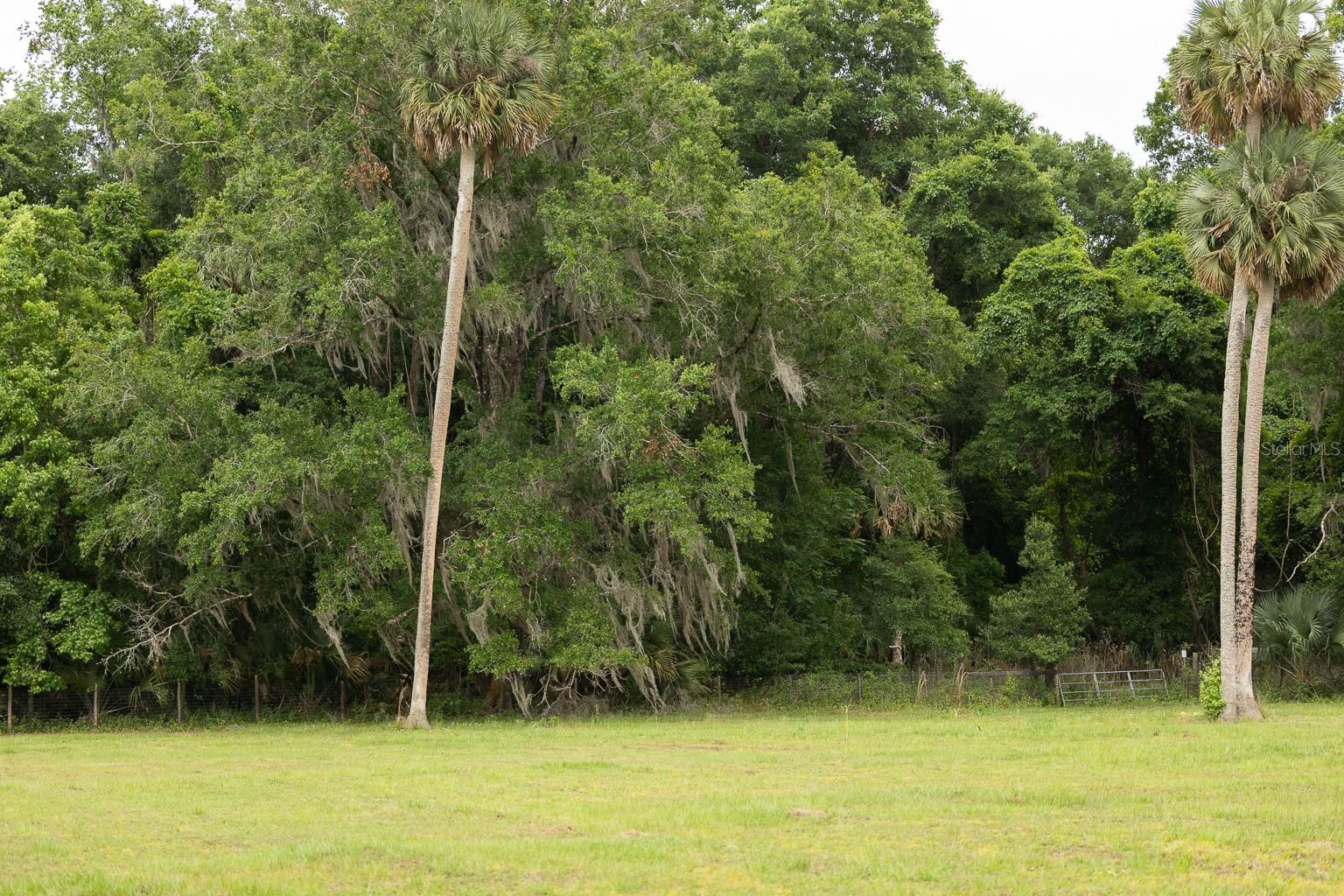 18833 NE 24TH AVE, CITRA, FL — photo 9