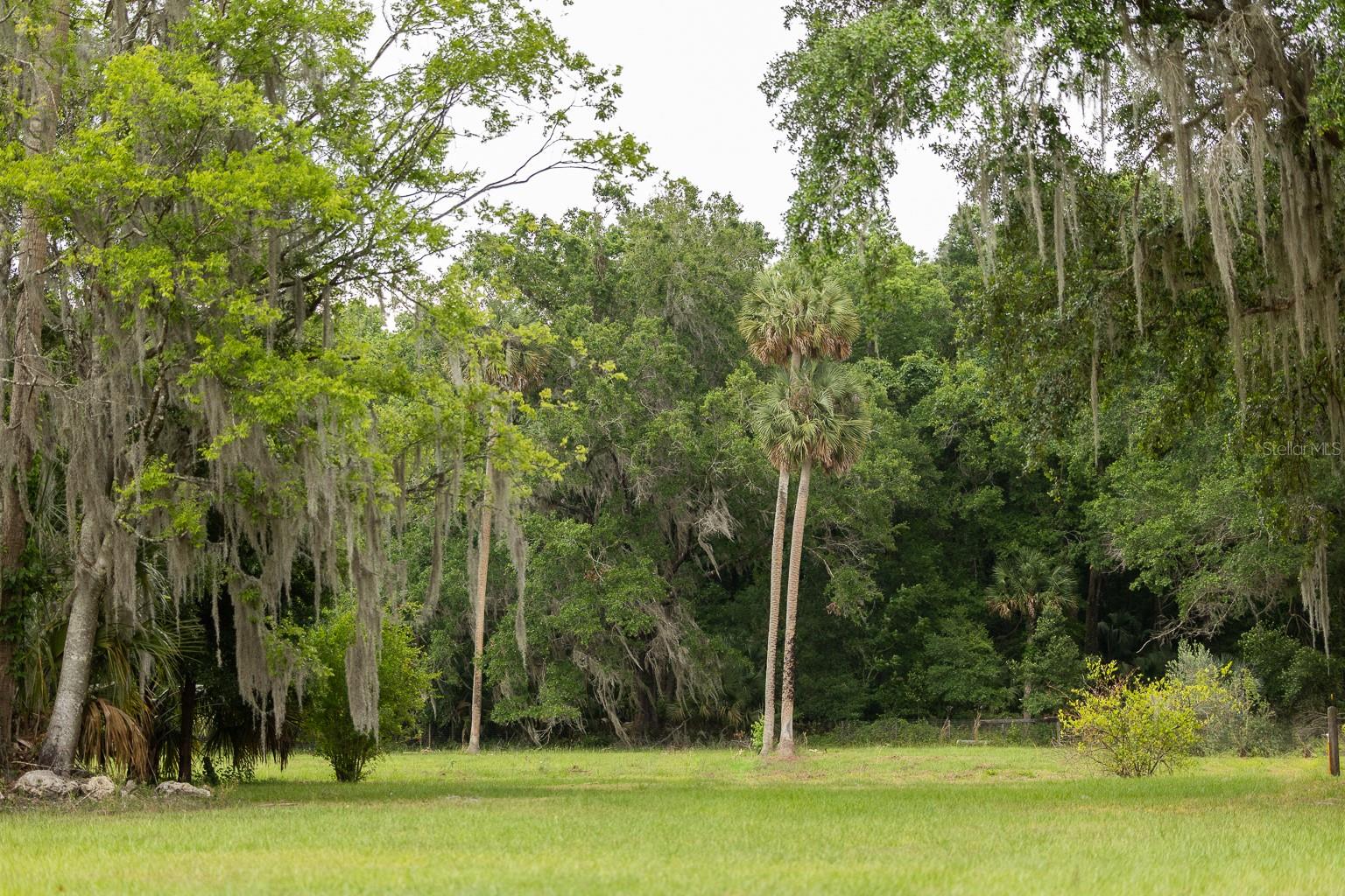 18833 NE 24TH AVE, CITRA, FL — photo 10