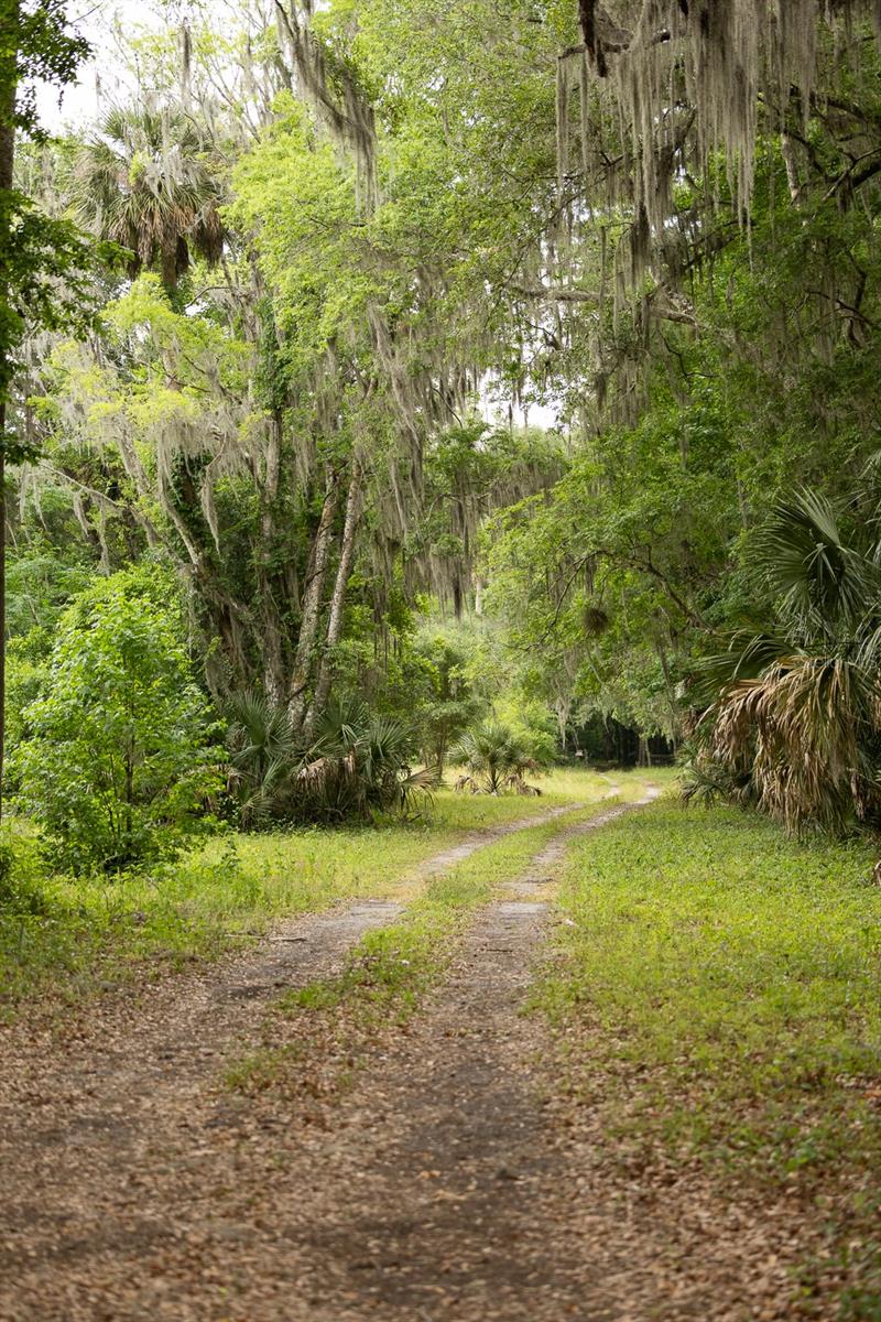 18833 NE 24TH AVE, CITRA, FL — photo 13