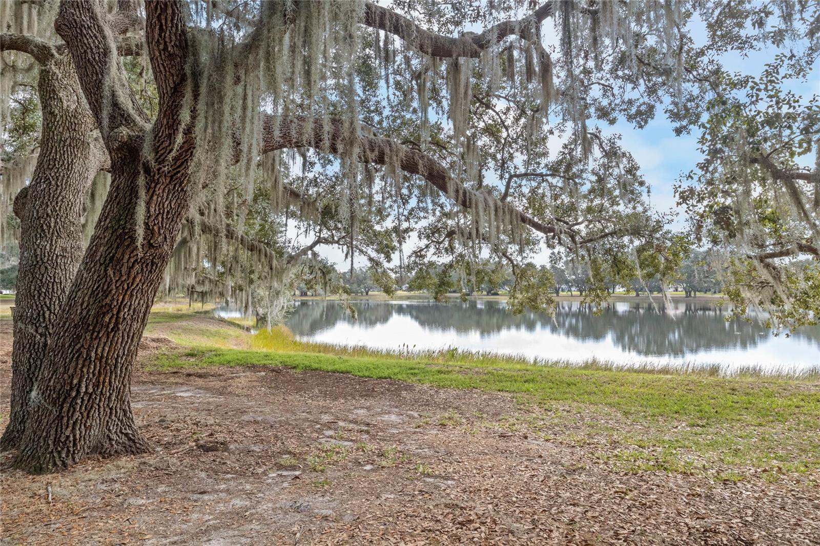 6419 BORG ST, LEESBURG, FL — photo 143