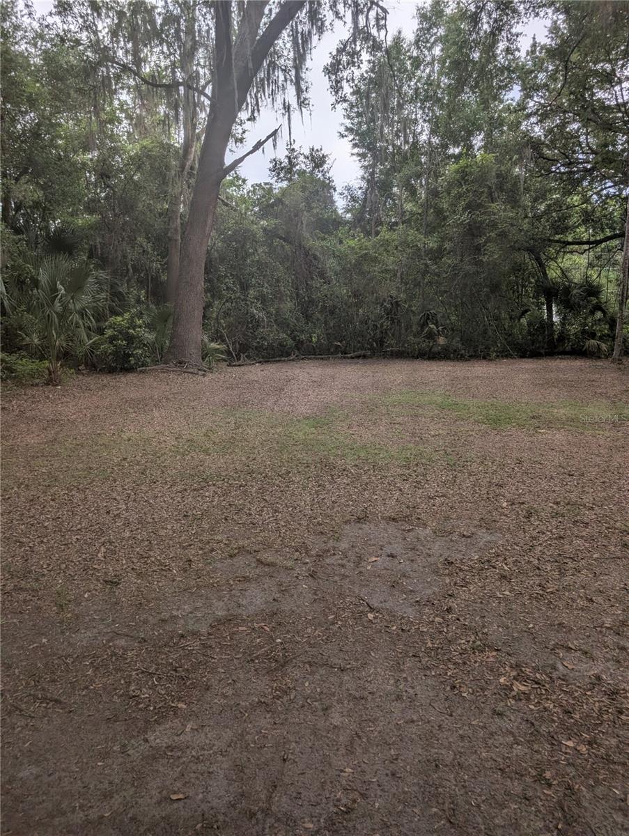25007 NW 6TH AVE, NEWBERRY, FL — photo 21