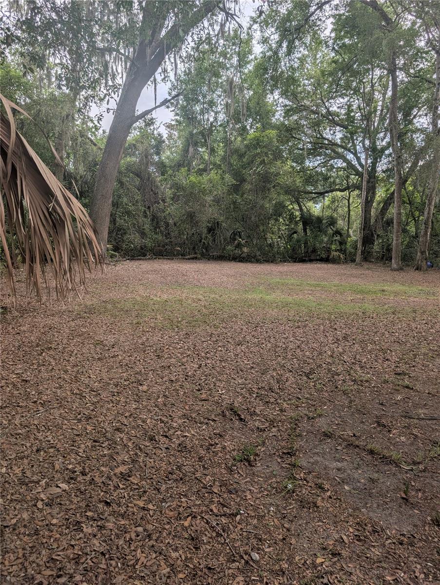 25007 NW 6TH AVE, NEWBERRY, FL — photo 23
