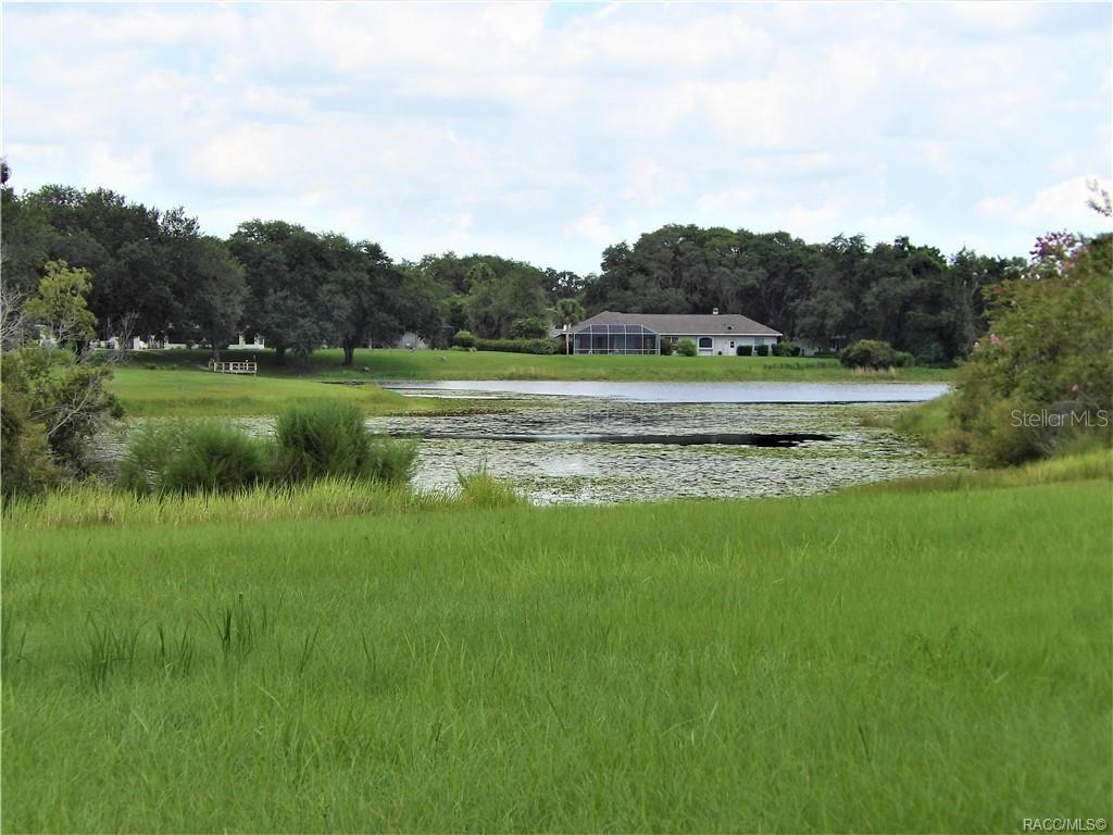 9546 E BAYMEADOWS DR, INVERNESS, FL — photo 3