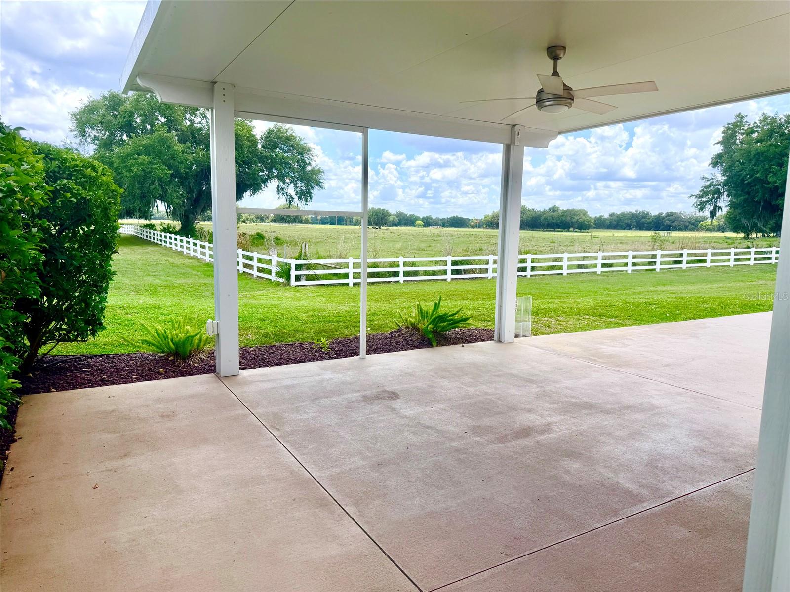 4817 SE 94TH AVE, WEBSTER, FL — photo 5