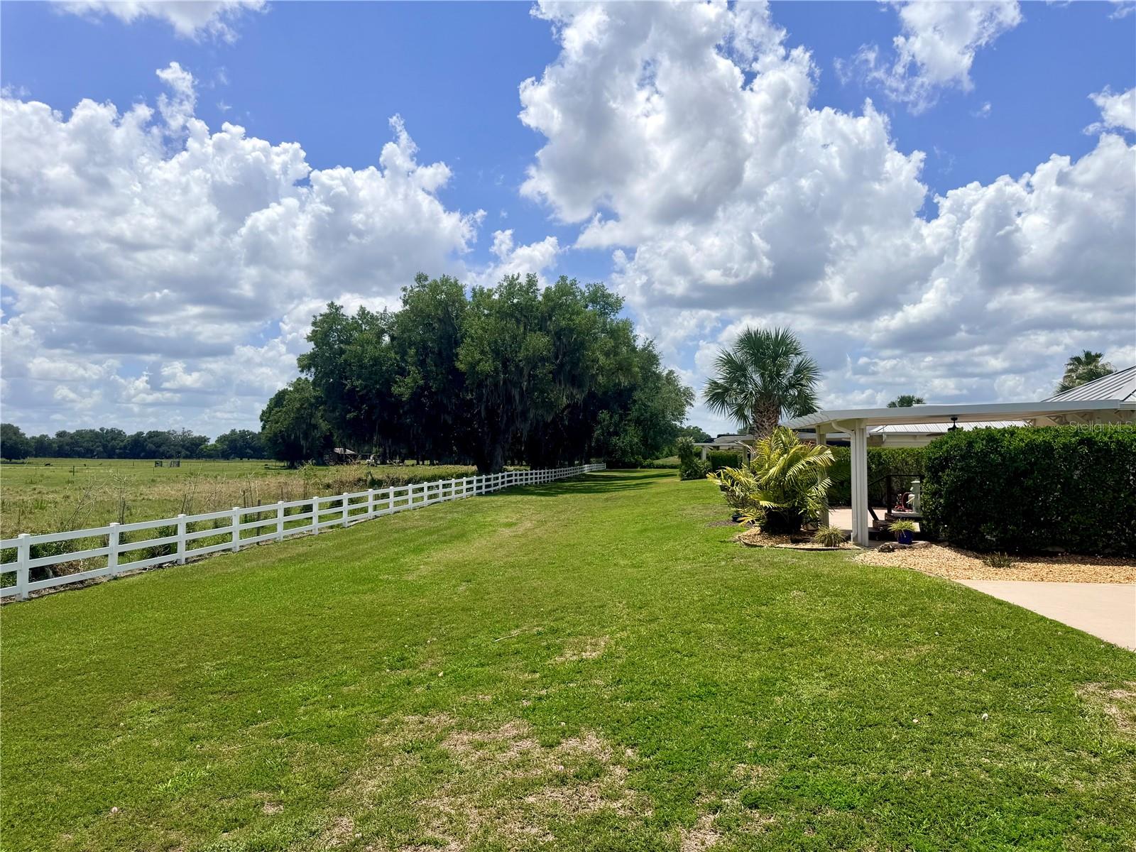 4817 SE 94TH AVE, WEBSTER, FL — photo 8