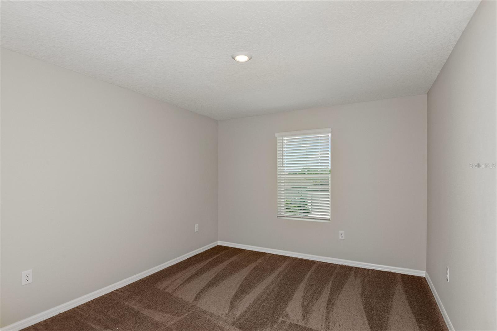 31670 BARONNE ST, WESLEY CHAPEL, FL — photo 23