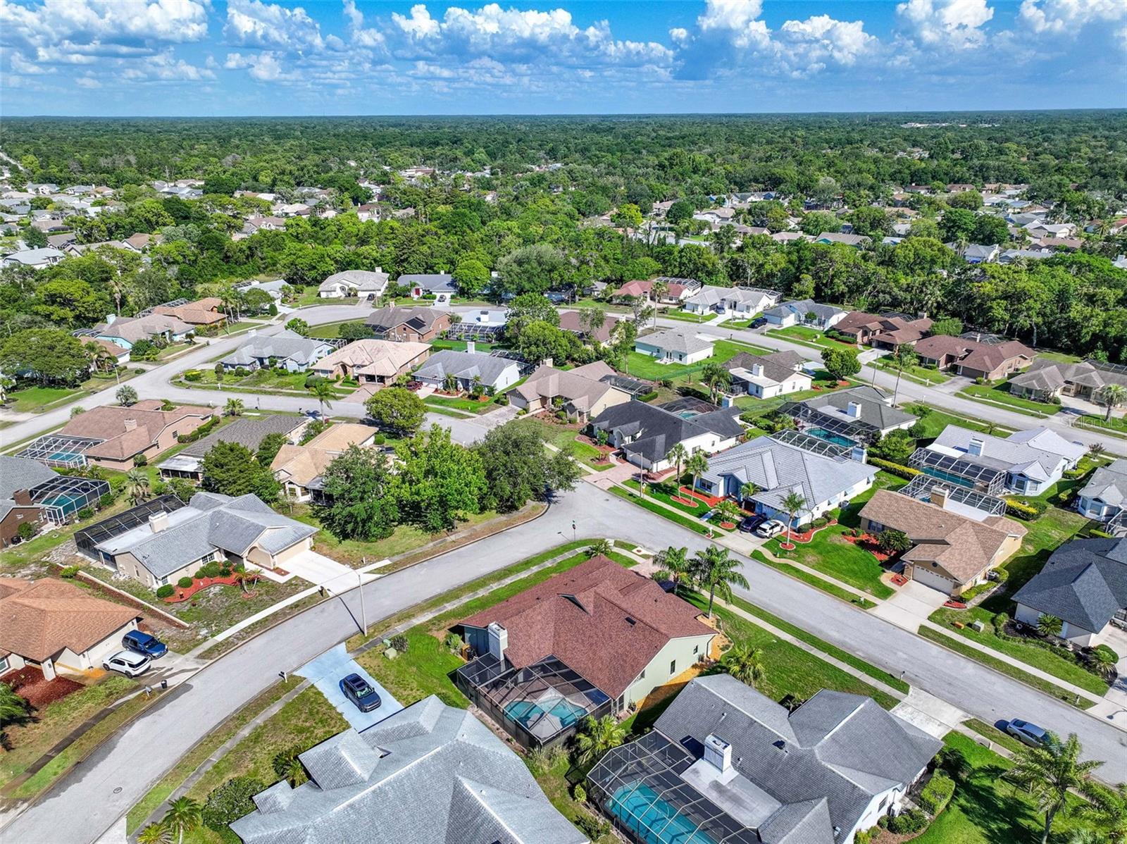 8535 CAITLIN CT, HUDSON, FL — photo 47