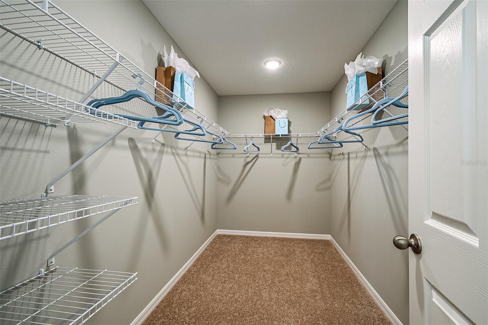 31731 OYSTER TRELLIS LN, WESLEY CHAPEL, FL — photo 8