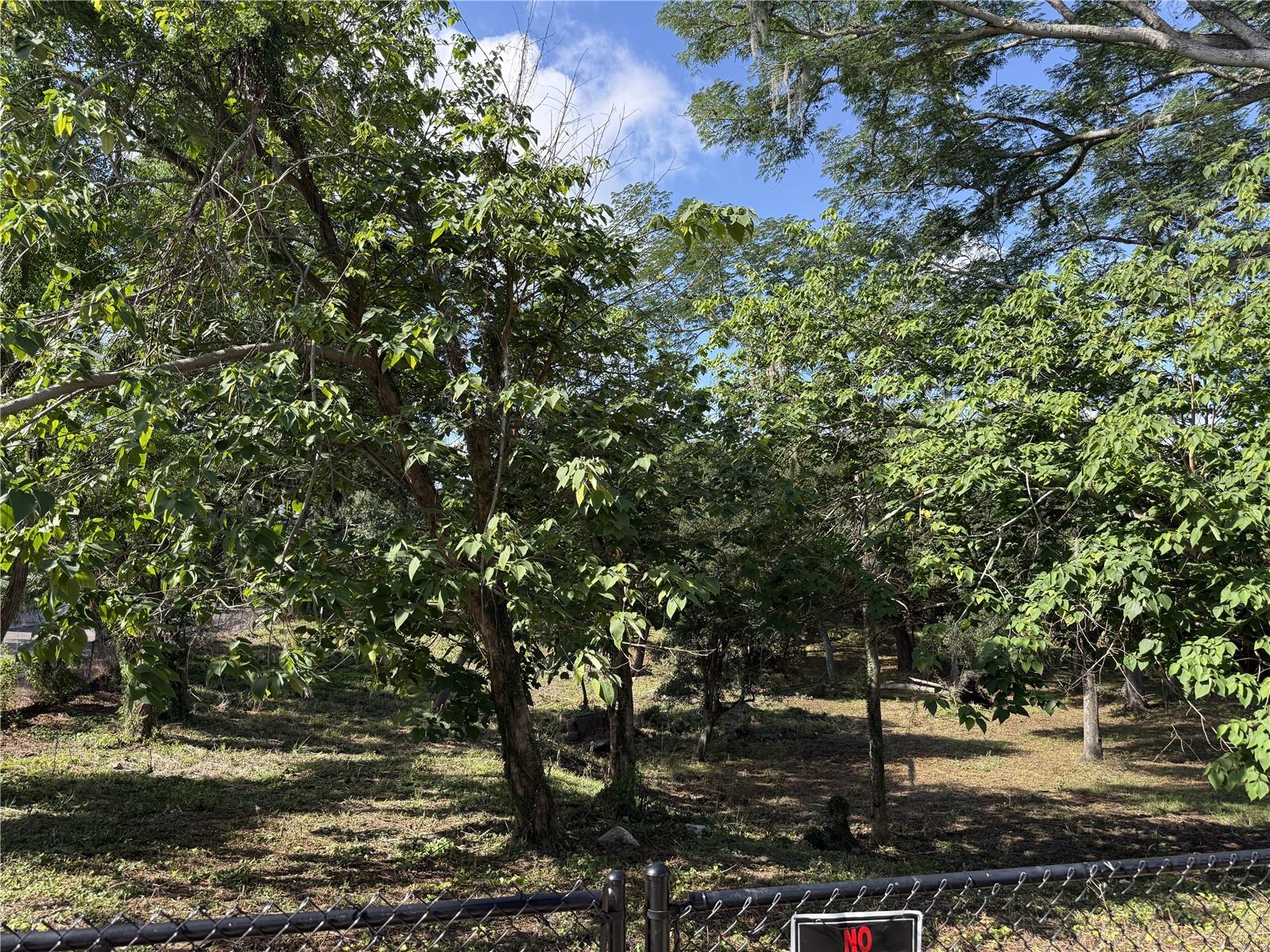521 E CLAY AVE, BRANDON, FL — photo 3