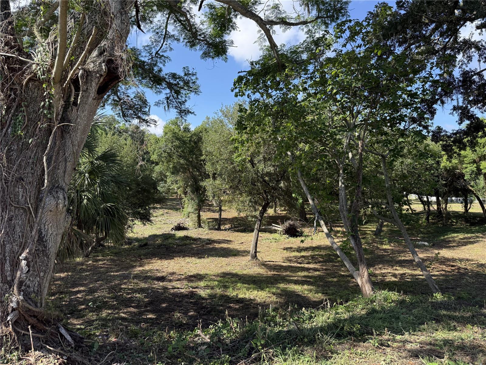 521 E CLAY AVE, BRANDON, FL — photo 4