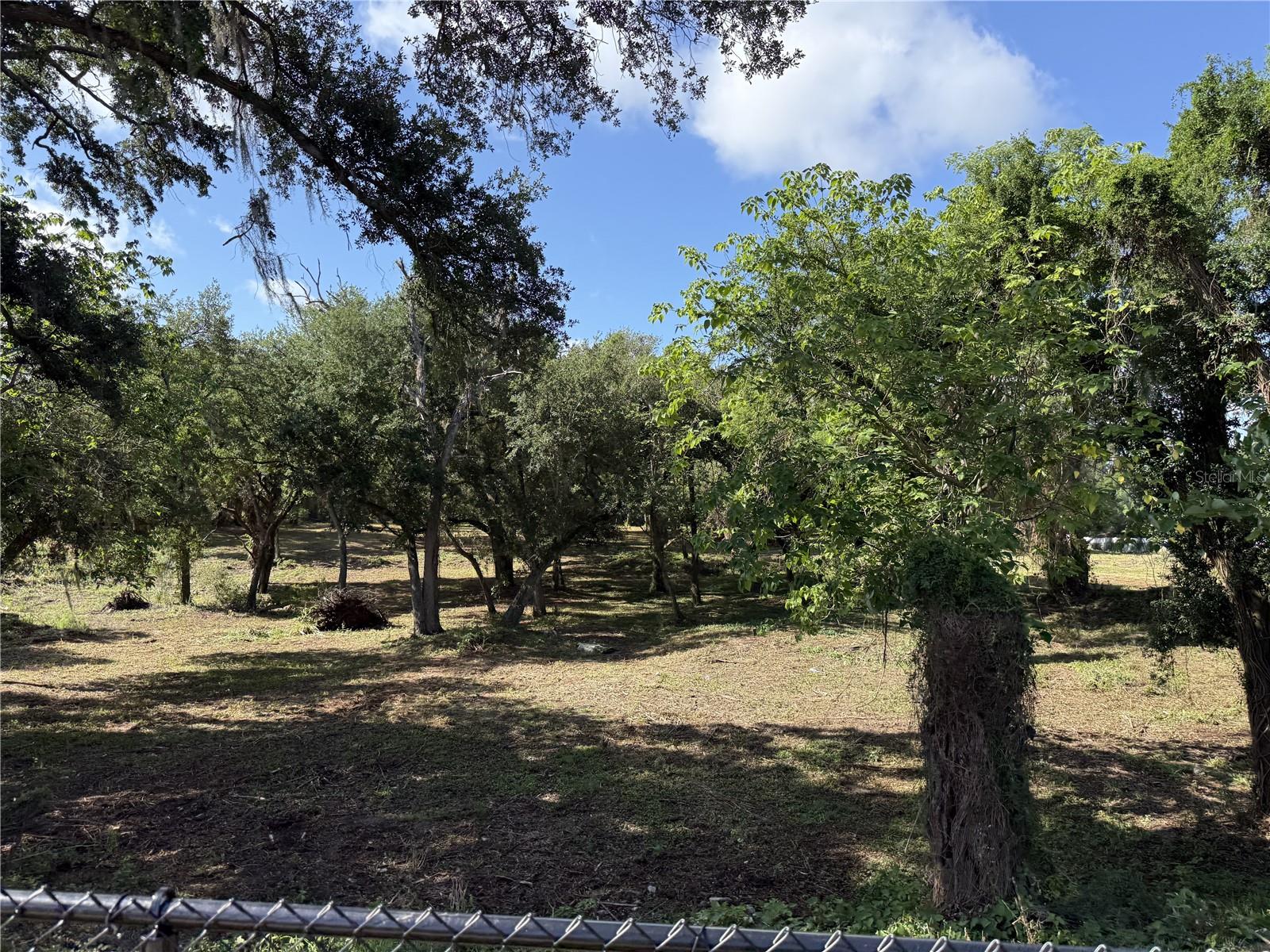 521 E CLAY AVE, BRANDON, FL — photo 5