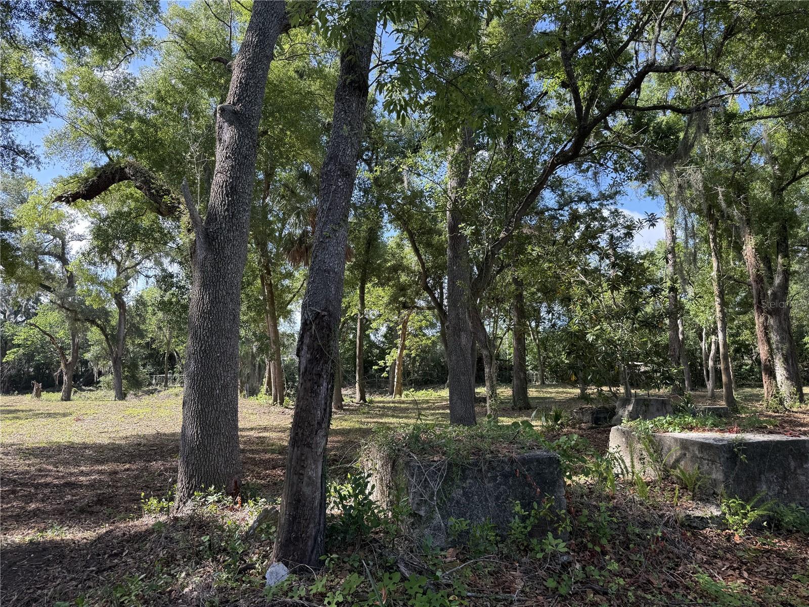 521 E CLAY AVE, BRANDON, FL — photo 11