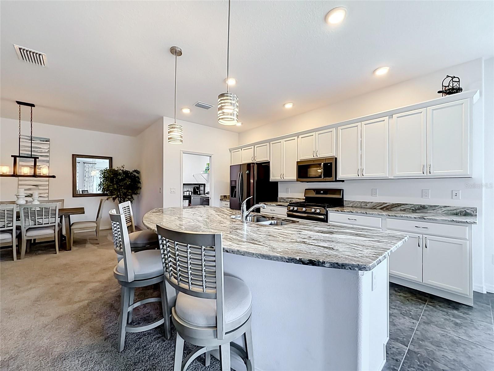 4240 JAMES RIVER CIR, LEESBURG, FL — photo 50