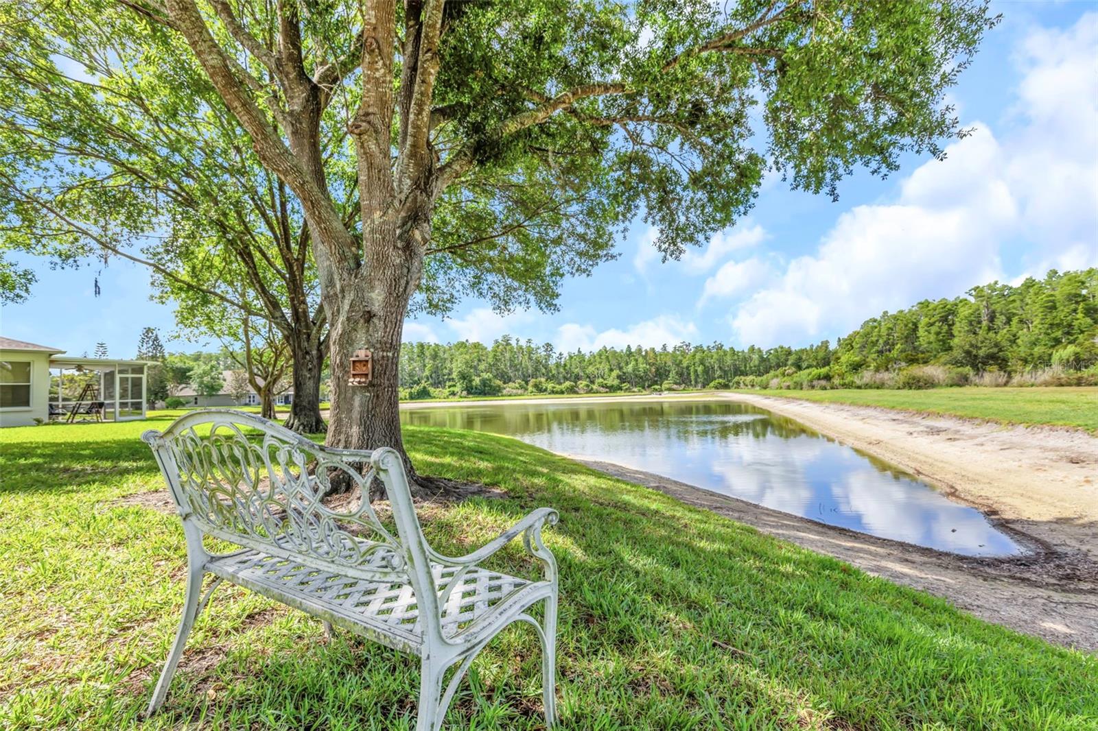 19238 WEYMOUTH DR, LAND O LAKES, FL — photo 42