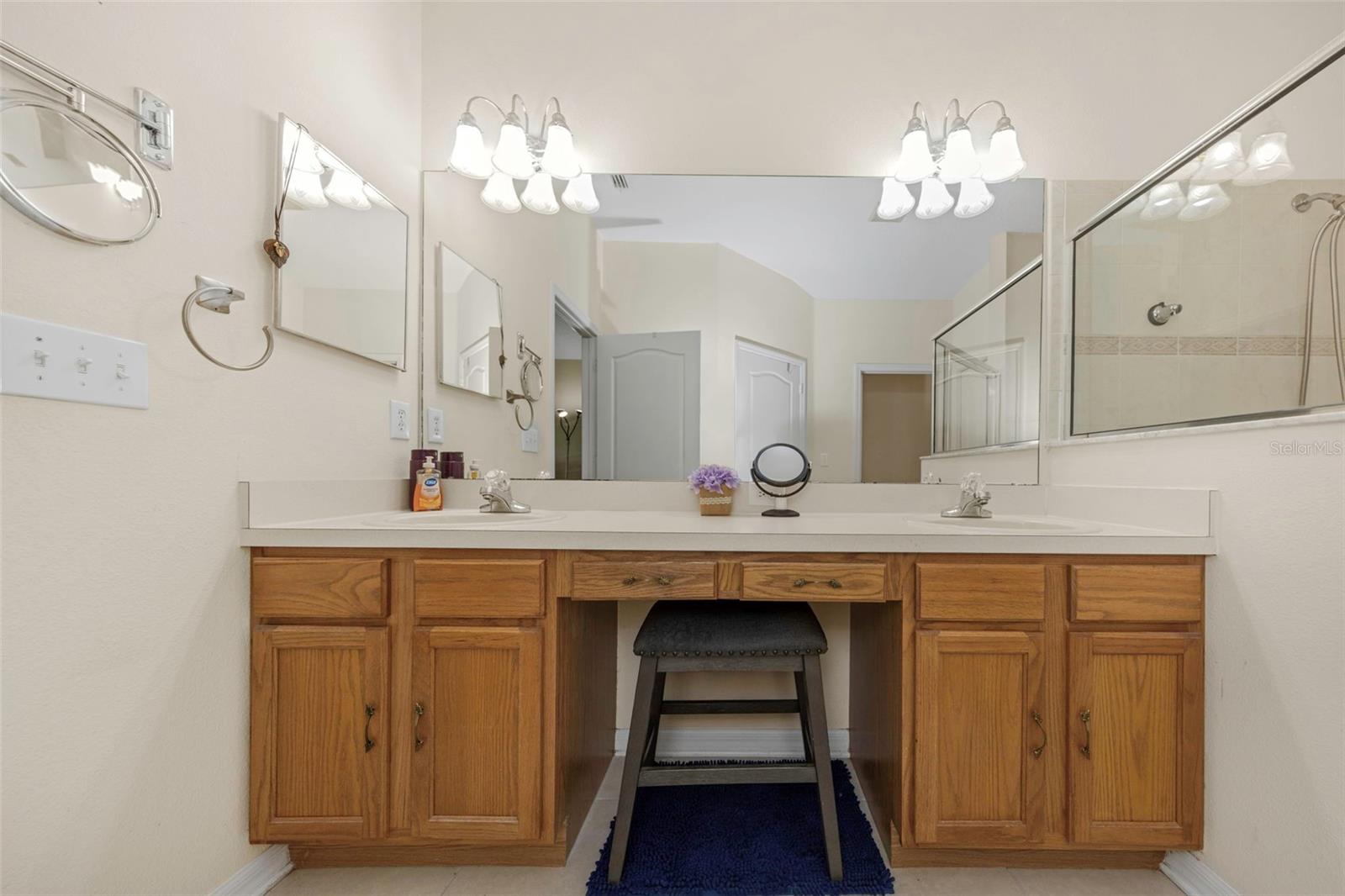 19238 WEYMOUTH DR, LAND O LAKES, FL — photo 14