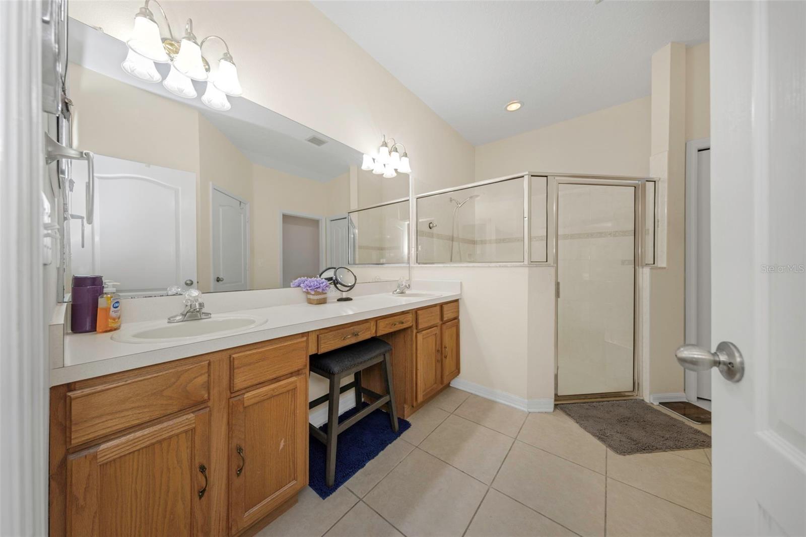 19238 WEYMOUTH DR, LAND O LAKES, FL — photo 16