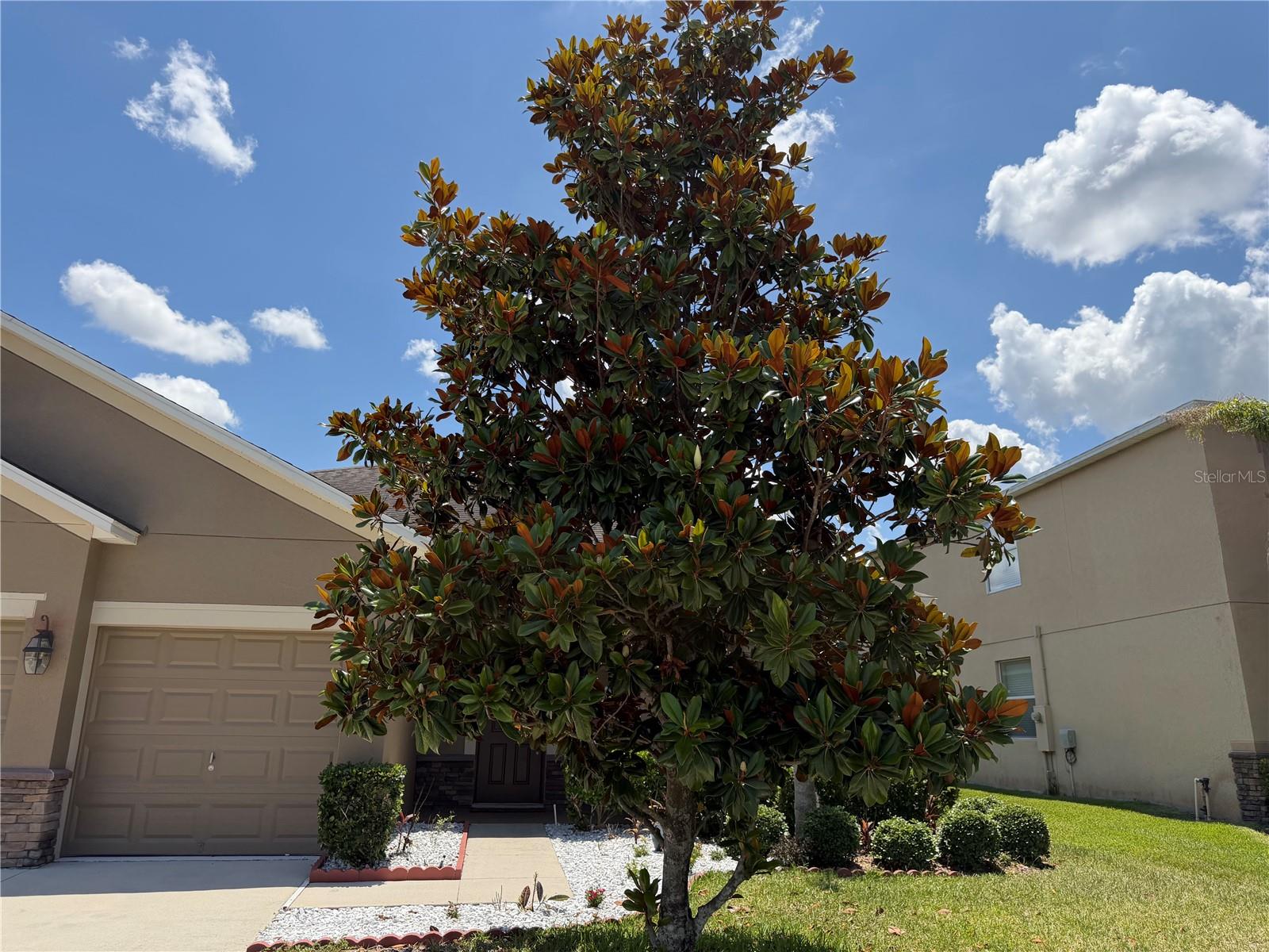 5265 CORTLAND DR, DAVENPORT, FL — photo 42
