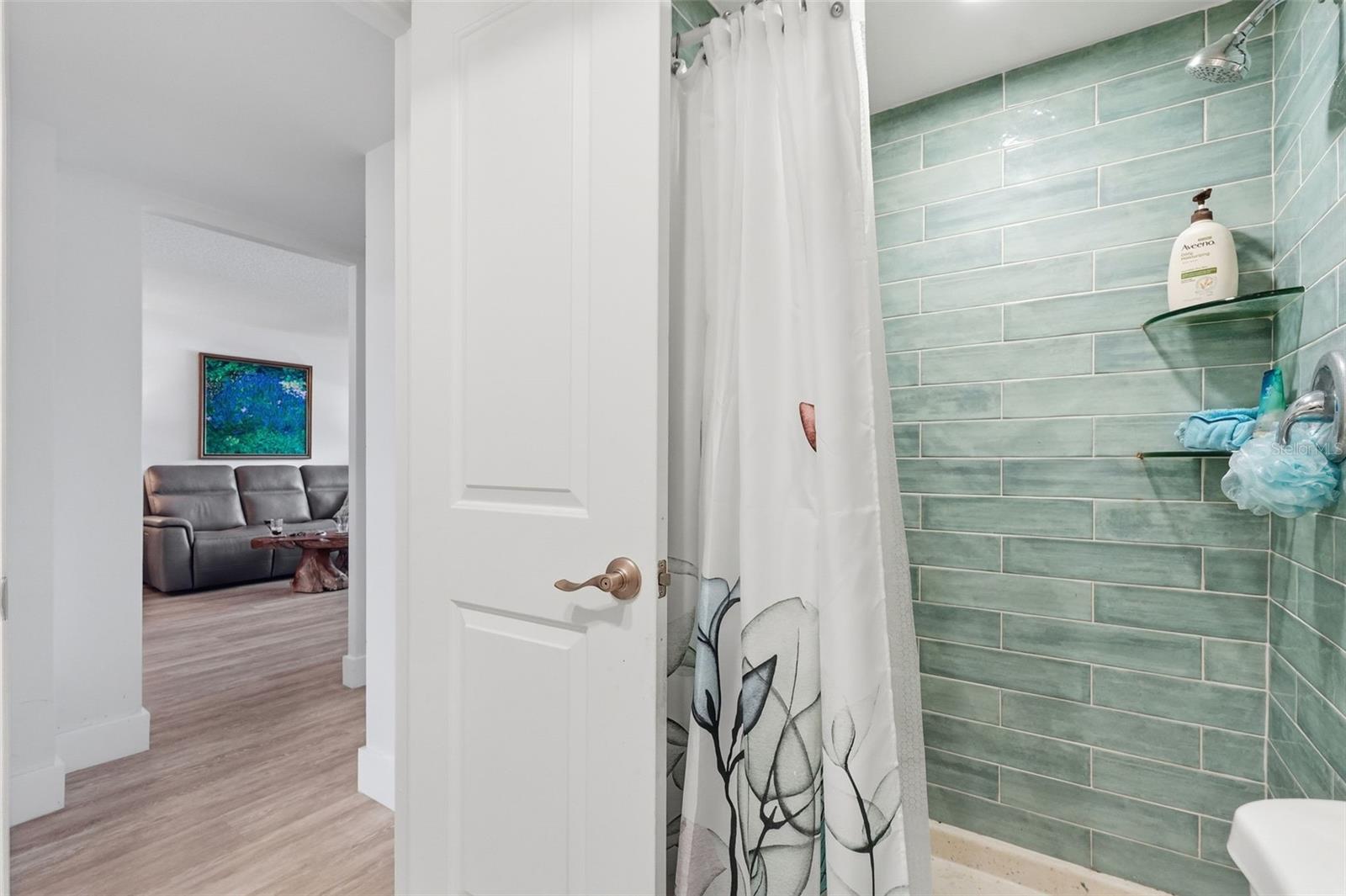 4915 BAY ST NE #323, ST PETERSBURG, FL — photo 12