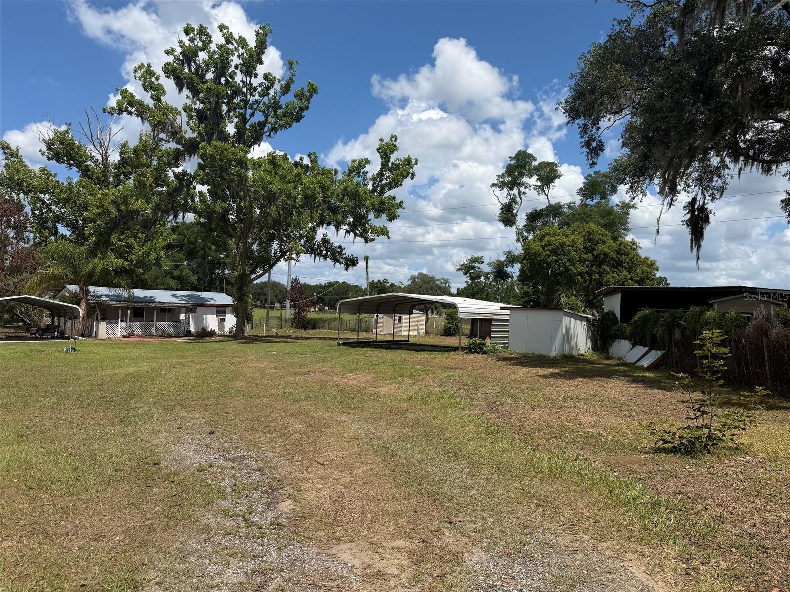 10006 CAUSEY PL, THONOTOSASSA, FL
