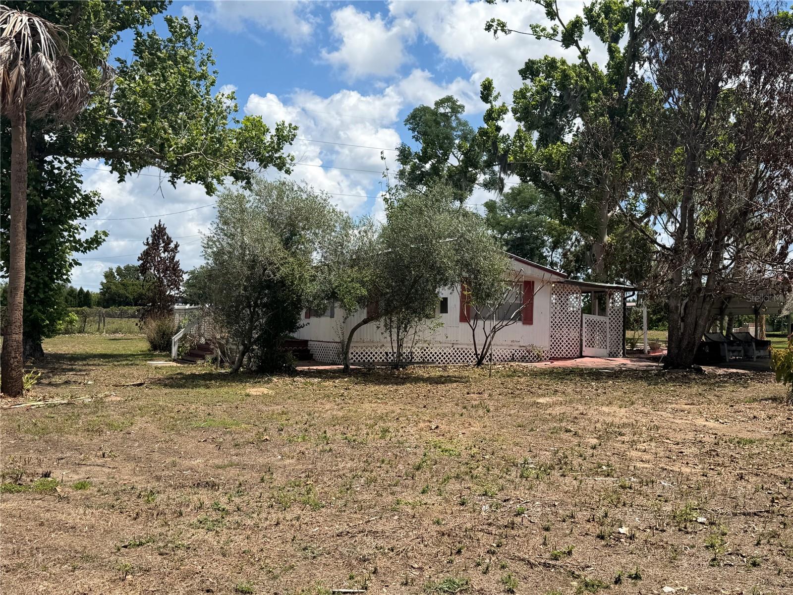 10006 CAUSEY PL, THONOTOSASSA, FL — photo 2