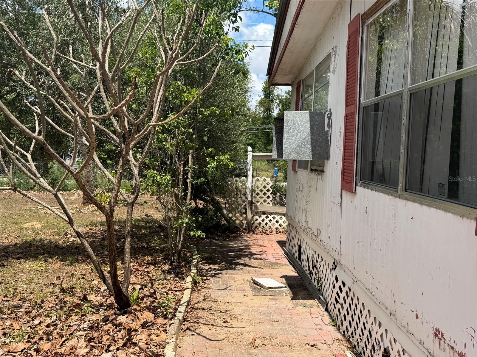 10006 CAUSEY PL, THONOTOSASSA, FL — photo 5
