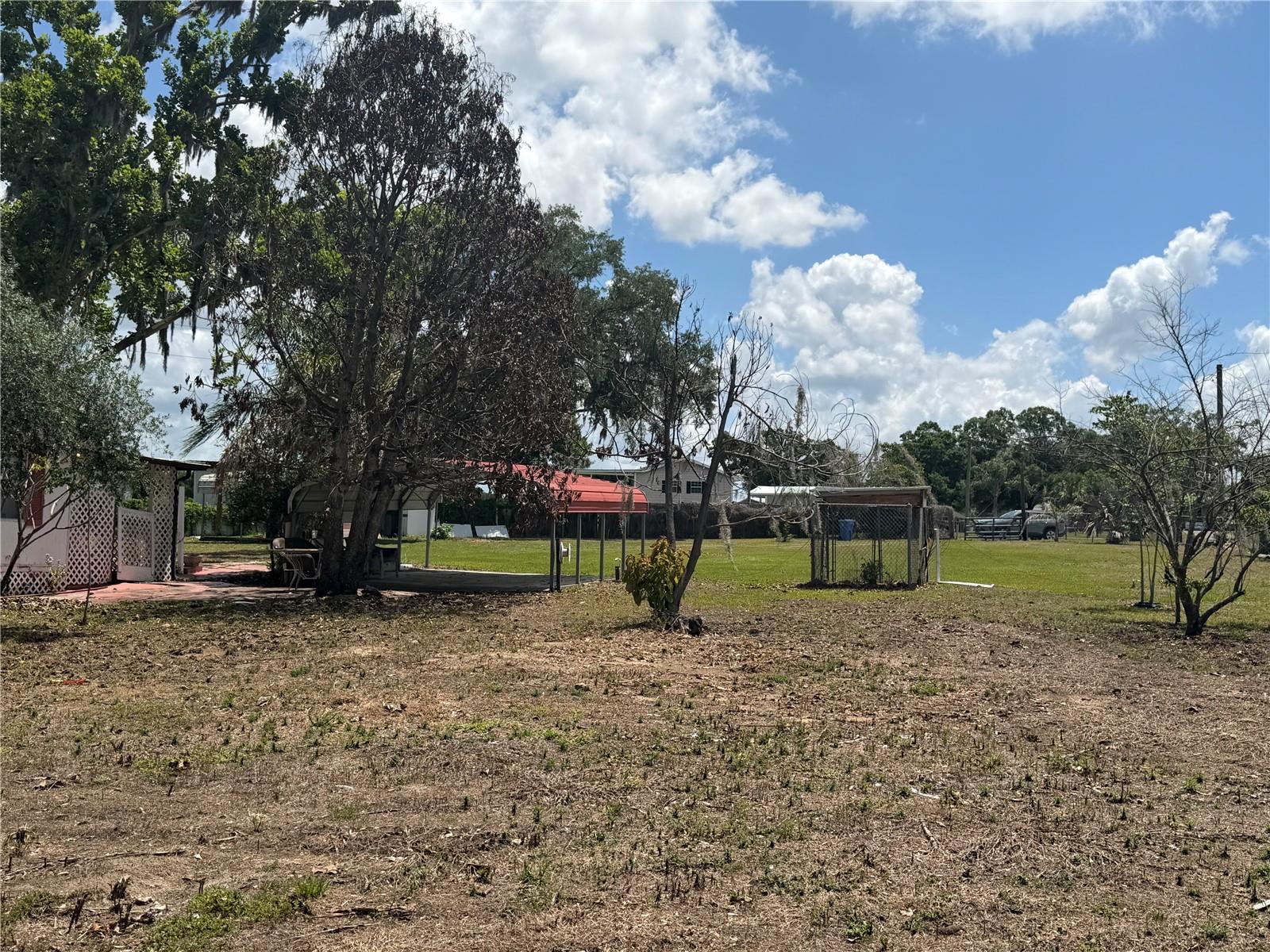 10006 CAUSEY PL, THONOTOSASSA, FL — photo 7