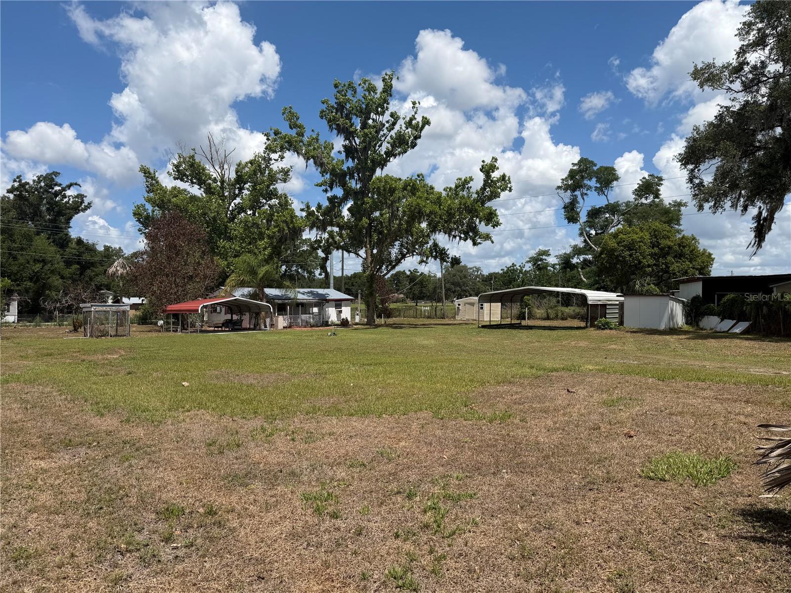 10006 CAUSEY PL, THONOTOSASSA, FL — photo 9