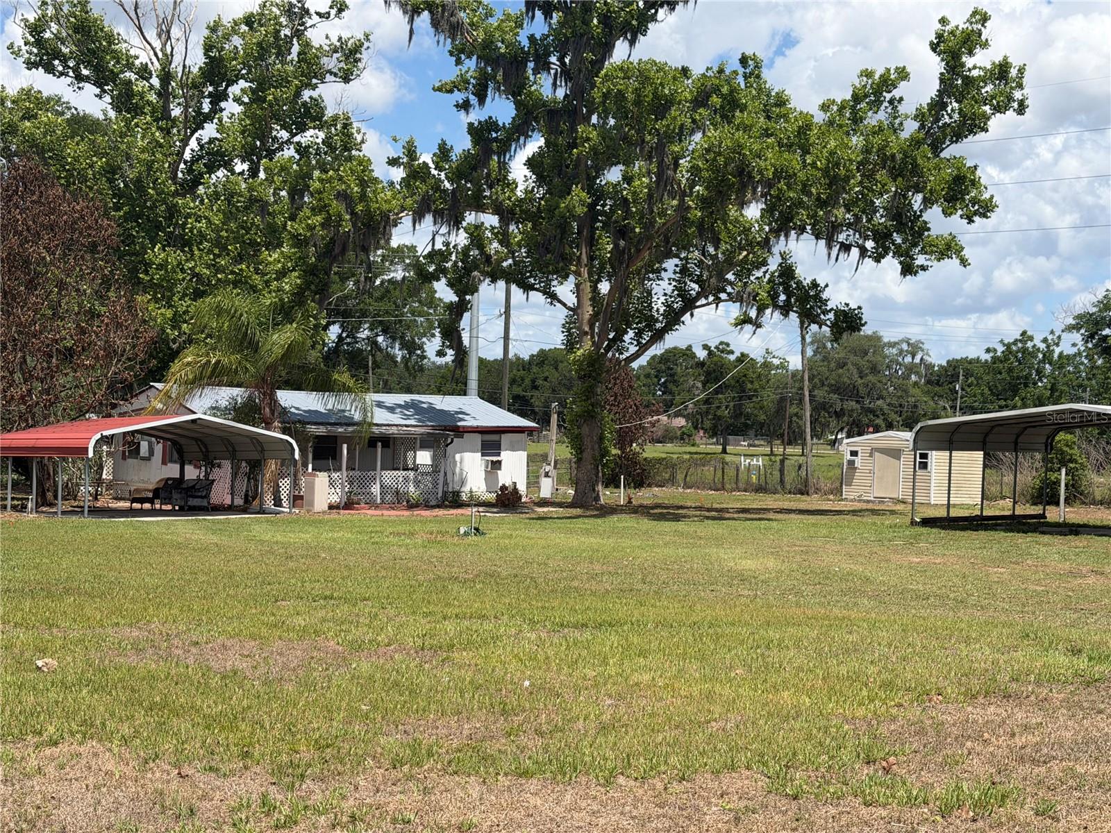 10006 CAUSEY PL, THONOTOSASSA, FL — photo 10
