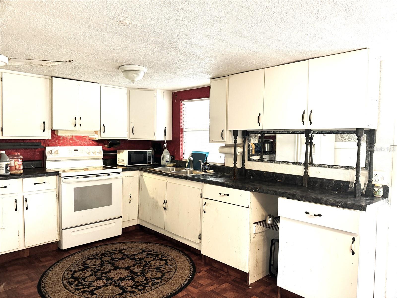 10006 CAUSEY PL, THONOTOSASSA, FL — photo 17