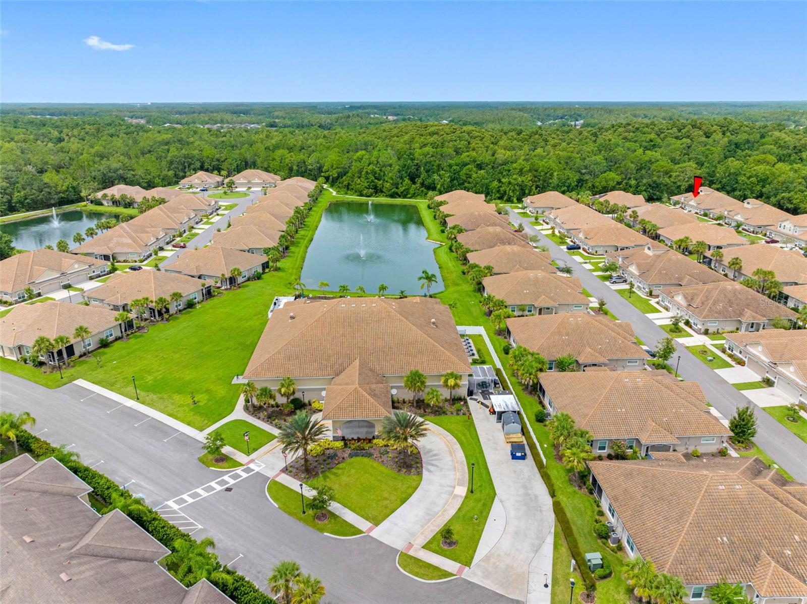 29817 GANGA WAY, WESLEY CHAPEL, FL — photo 33