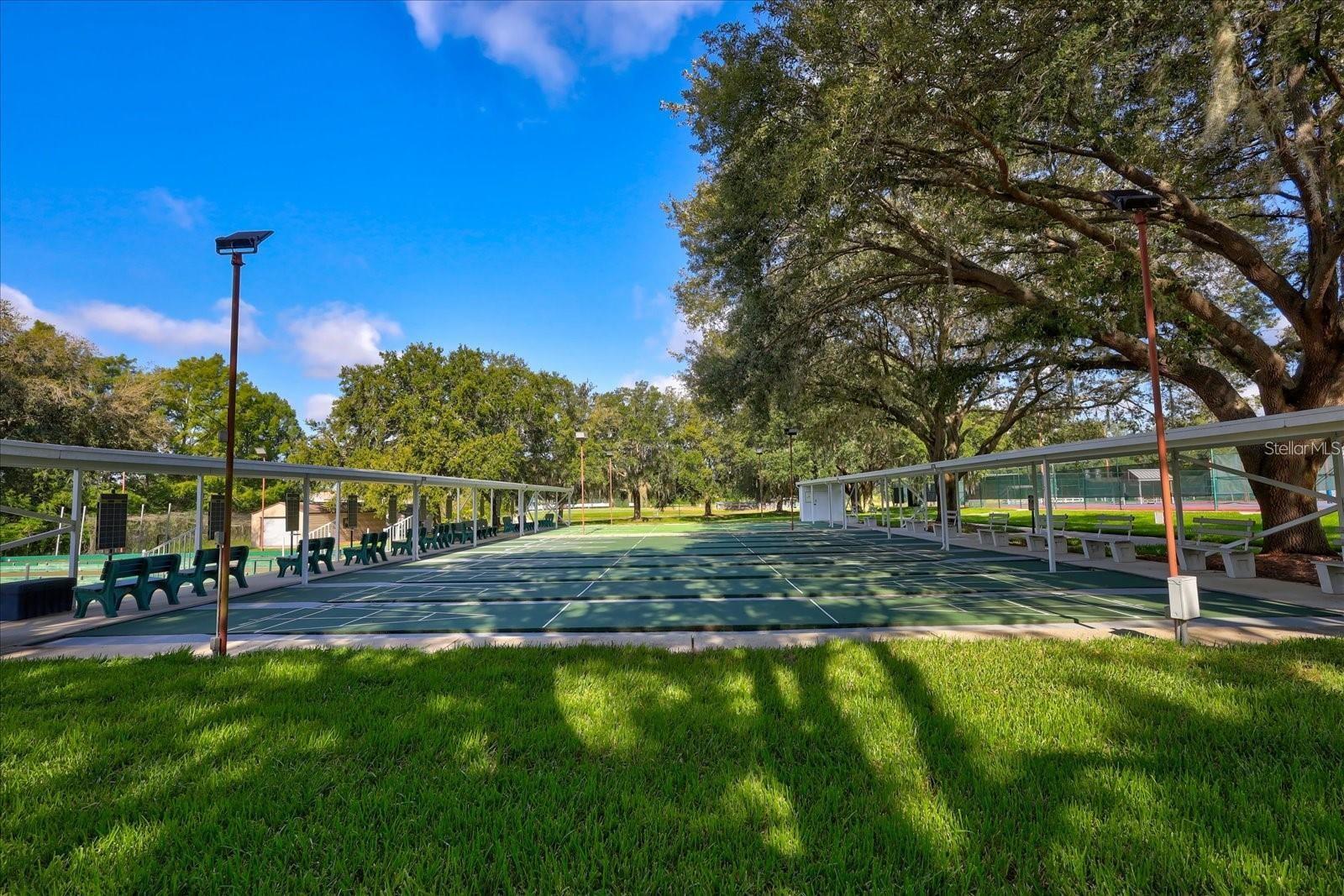 5030 EL DESTINO DR, LEESBURG, FL — photo 97