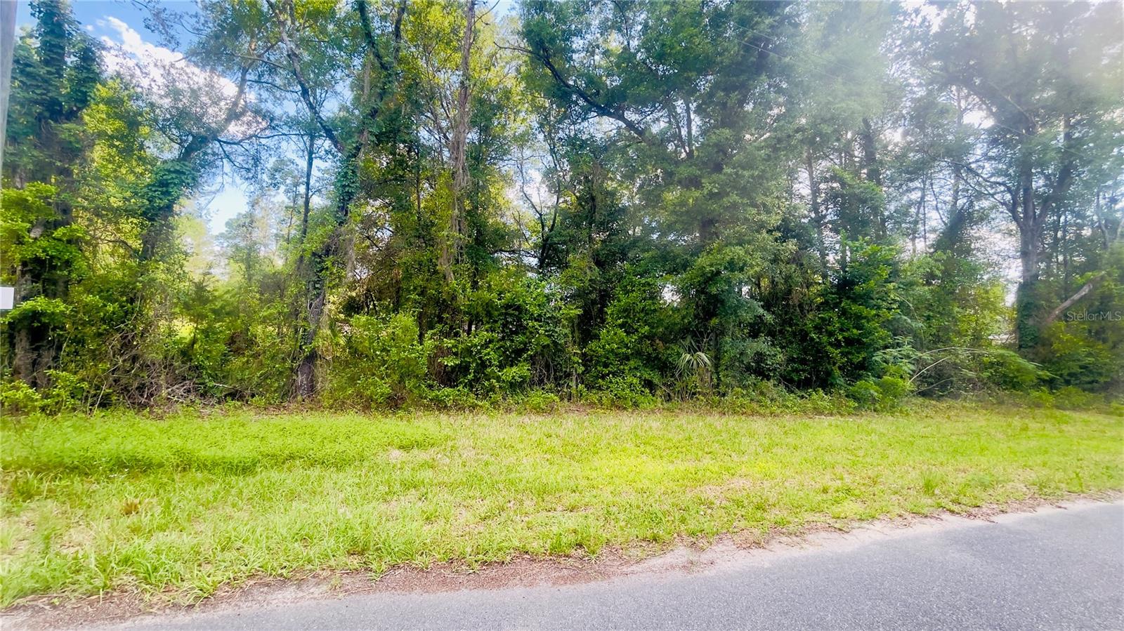 Lot 1 NE 66TH LN, BRONSON, FL — photo 3