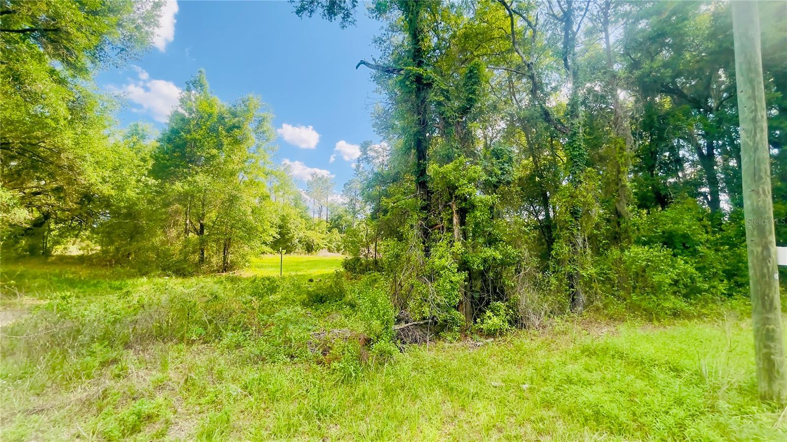 Lot 1 NE 66TH LN, BRONSON, FL — photo 4