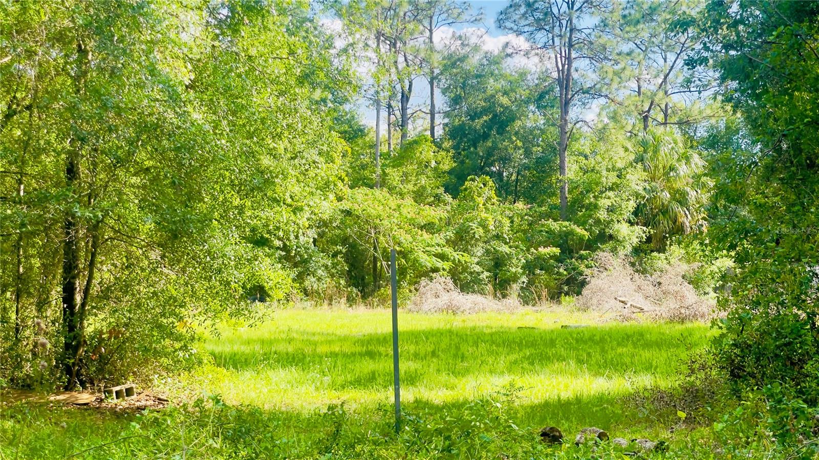Lot 1 NE 66TH LN, BRONSON, FL — photo 5
