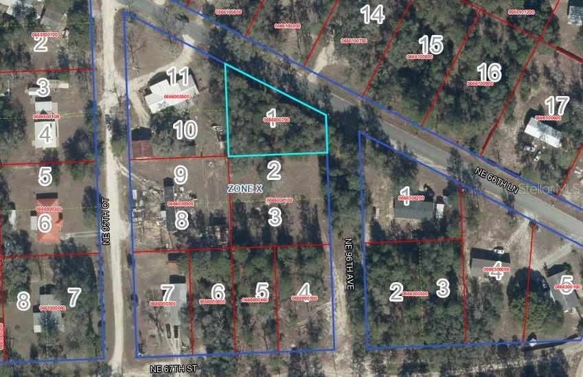 Lot 1 NE 66TH LN, BRONSON, FL — photo 6