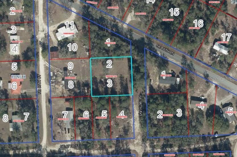 Lot 2&3 NE 95TH AVE, BRONSON, FL