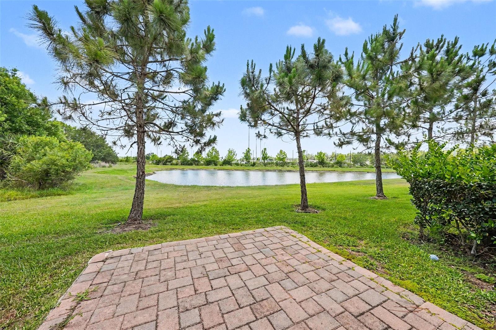 28504 TRANQUIL LAKE CIR, WESLEY CHAPEL, FL — photo 3