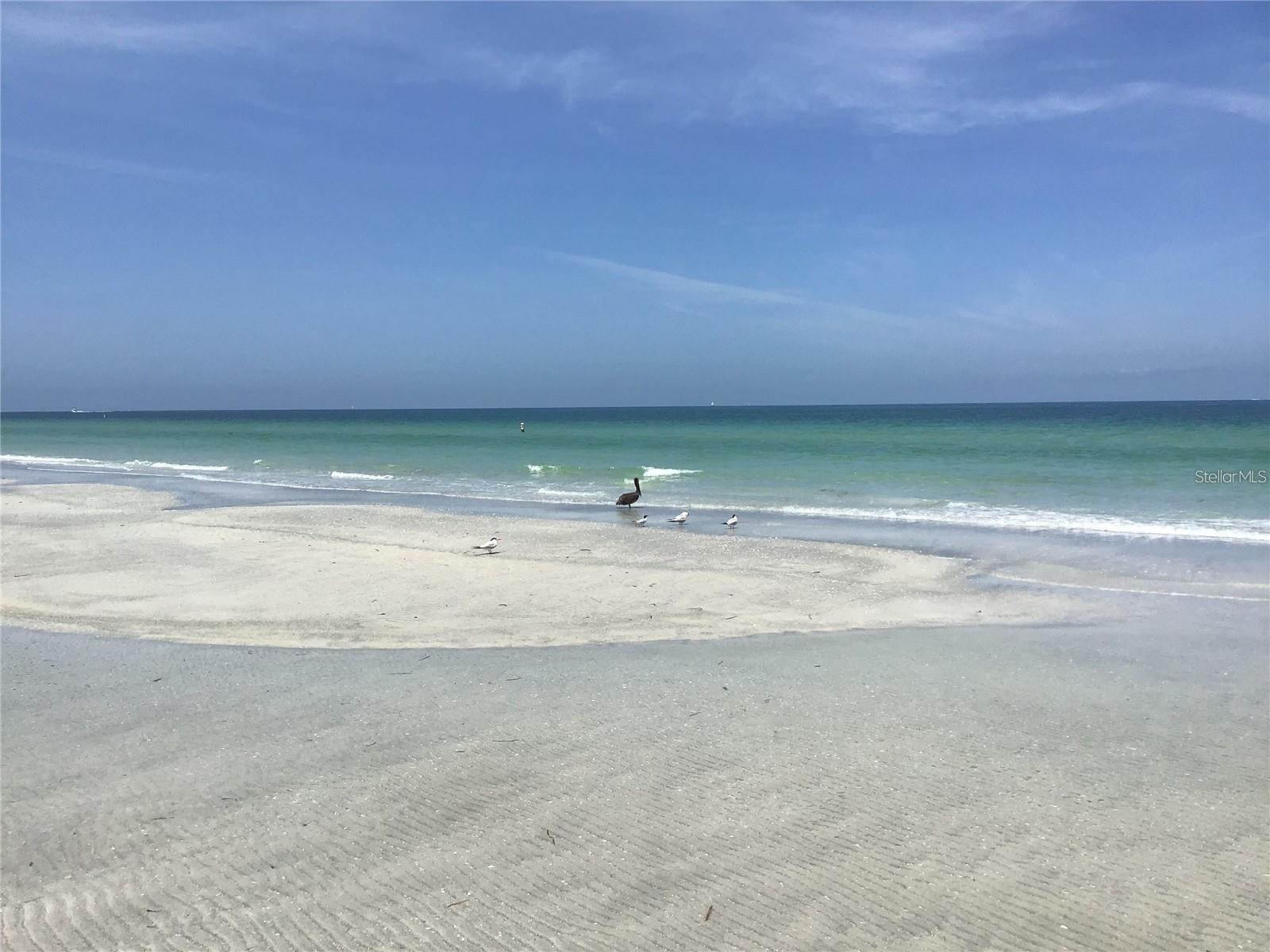 1401 GULF BLVD #212, CLEARWATER BEACH, FL — photo 49